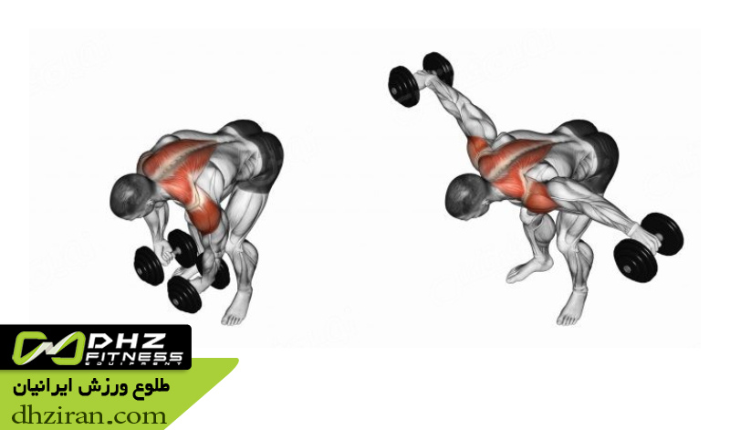 نشر جانب و نشر خم 